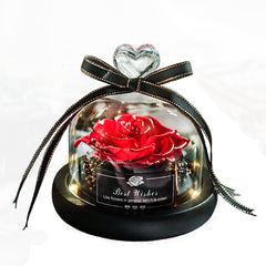 Eternal Rose Gift Box with Glass Dome Decoration - August Bloom