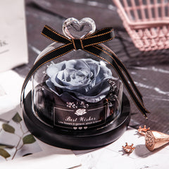 Eternal Rose Gift Box with Glass Dome Decoration - August Bloom