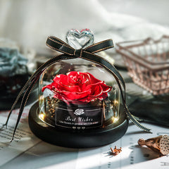Eternal Rose Gift Box with Glass Dome Decoration - August Bloom